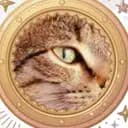 Magi-cat