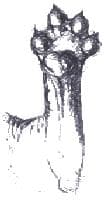 AFamosa