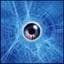 Skuld